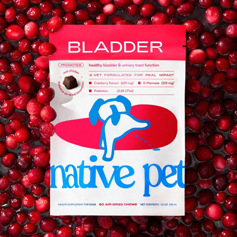 Native Pet Bladder Chews for Dogs | Air-Dried Chews Made with Real Chicken
