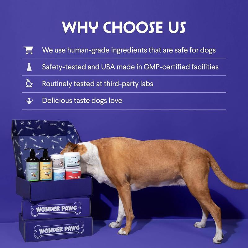 Turkey Tail Mushroom Powder for Dogs