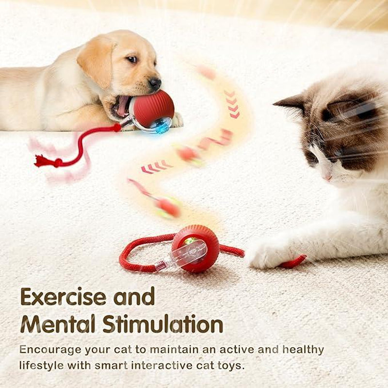 Interactive Cat Toy Ball: Automatically Rolling Electric Ball, Suitable for Indoor Cats/Dogs, Brings the Fun of Chasing Tails. Motion Sensing, Keeps Pets Busy and Enjoys Rich Sports Stimulation. Great Pet Gifts/Supplies.