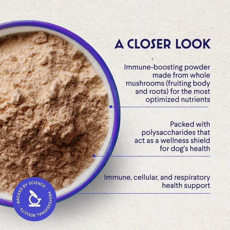 Turkey Tail Mushroom Powder for Dogs