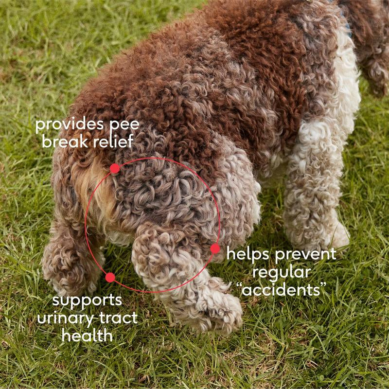 Native Pet Bladder Chews for Dogs | Air-Dried Chews Made with Real Chicken