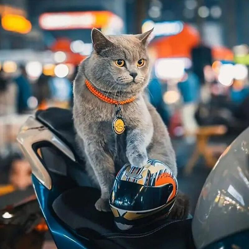 Pet Motorcycle Helmet - Cool Mini Safety Hat for Cats and Dogs - Fun, Protective, and Adjustable Headgear for Your Furry Friends