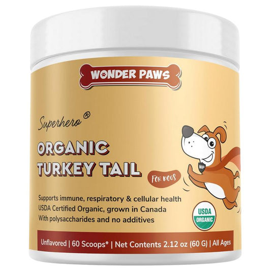 Turkey Tail Mushroom Powder for Dogs